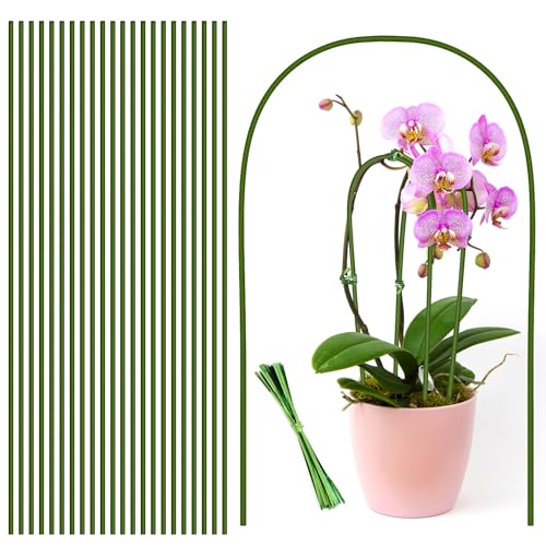 20Pcs Plant Stakes,Plant Sticks, Garden Bendable Single Stem Plant Support Stakes Tall for Indoor and Outdoor Plants,Potted Plants,Flowers,Orchid,Tomato-23.6 Inches Green - size: 23.6 Inches