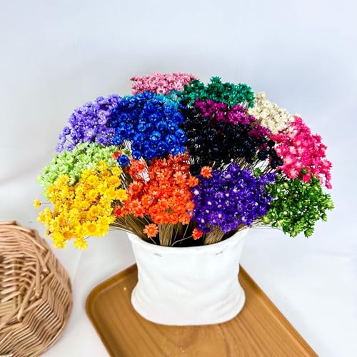 100 Stems Natural Dry Flowers Brazilian Small Star Daisy Decorative Dried Flowers Mini Daisy Chamomile Bouquet for Wedding Floral Arrangements Home Decorations (Purple) - color: Purple