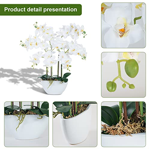 Ziwon Artificial Orchid Flowers & Plants Potted in Ceramic Pot, White Faux Phalaenopsis Orchids for Table Centerpiece, Realistic Fake Flower Arrangement for Home Office Decor Indoor - color: White & White 02