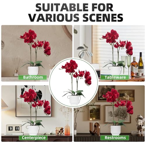 CXGS Orchids Artificial Flowers Real Touch Fake Flowers in Ceramic Pot 20" Red Faux Orchid Plant Lifelike Silk Phalaenopsis for Centerpiece Hotel Home Indoor Decor - color: Red- White Vase