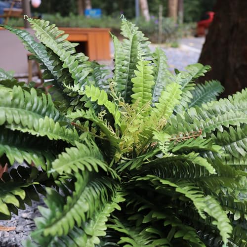 Fake Ferns Artificial Plants Large, 68" Artificial Ferns for Outdoors & Indoors, UV Resistant Faux Fern with Long Leaves Suitable for Planter Hanging Porch Home Garden Patio Greenery Decor (1 Stem) - color: Dark Green, size: 68inch