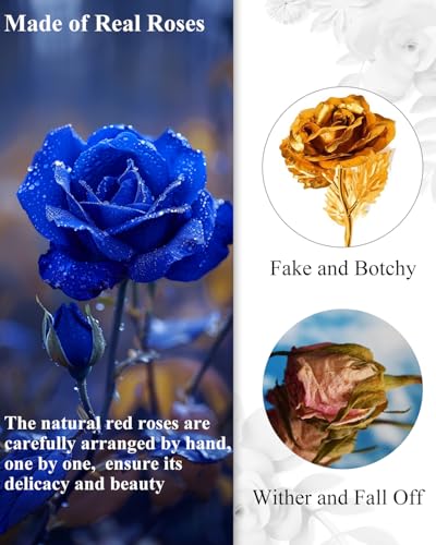 Changshunqi 16 Flowers Forever Preserved Roses in Box, Forever Flowers Womens Birthday Gifts for Women Mothers Blue Rose Gift for Her Romantic Eternal Real Rose for Women Mom Wife - color: Mystic Blue