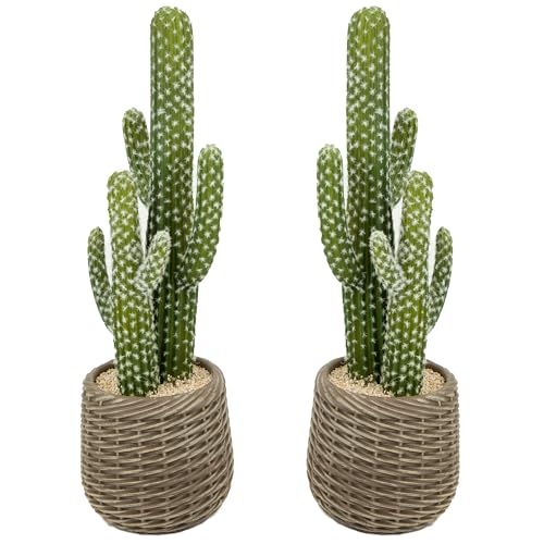 bellacat 25in Fake Cactus with Warm White & Color Changing Lights, Realistic Faux Cactus Plants Indoor with Brown Decorative Planter, Artificial Cacti Light Up Plant for Home Decor, 2 Pack - color: Brown Decorative Planter-2pack, size: 25in