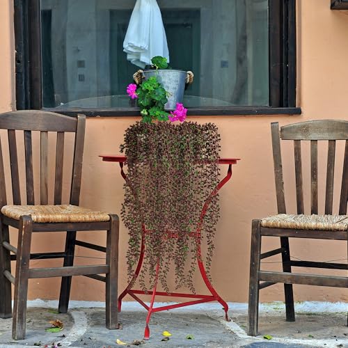 3PCS Orange Artificial Succulents Hanging Plants,27.5 Inch Fake String of Pearls Greenery Plants 5 Branches for Autumn Home Garden Office Balcony Wall Indoor Outdoor Fall Decoration,Orange - color: Orange