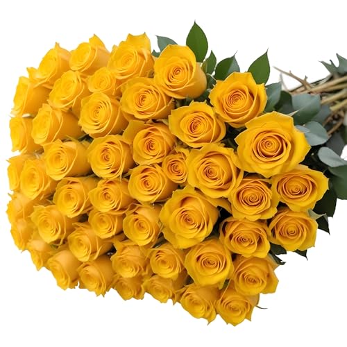 50 Yellow Roses | Bulk Roses by Arabella Bouquets | Real Fresh Flowers for Delivery, Gift for Birthday Women, Congratulations, Anniversary, Thank You, Mother's Day - color: Yellow, size: 50 Stems
