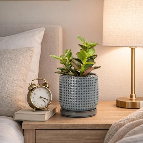 D'vine Dev 4 Inch Ceramic Beaded Stoneware Planter Pot - Flower Pot with Drainage Holes and Saucers for Indoor Succulent Plants or Flowers, Graphite Blue, 27-C-Z-9 - color: Graphite Blue, size: 4.3 Inch