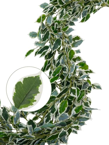 ucky Fake Vines, Eucalyptu Vines Garland, Ivy Vines, Green Artificial Wall Decor Hanging, Wedding Decoration，Flower Bouquet Decoration (2, Scindaps Vines) - color: Scindaps Vines
