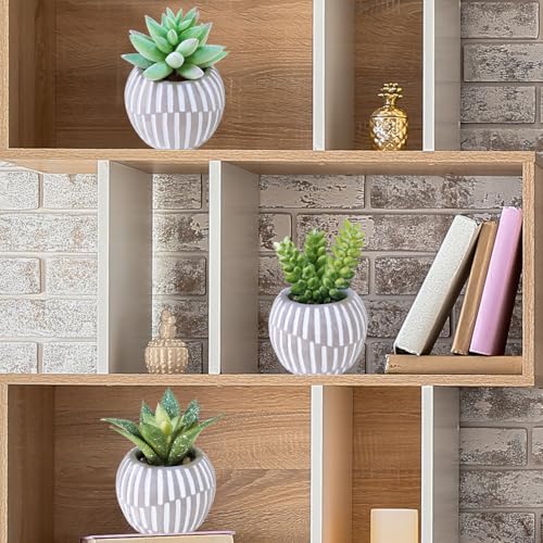 Winlyn Set of 3 Artificial Succulents Plants in Mini Gray and White Geometric Cement Pots Faux Potted Plants Aloe Pachyphytum Succulent Donkey Tail Small Plant for Home Office Table Shelf - color: Gray Pots