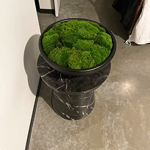 Preserved Pole Moss Pillow Bun Cushion Natural Green Decorative Real Natural Green DIY Kit Terrariu7r Table Decor Wedding (10.5 sq.ft., Green-B) - color: Green-b, size: 10.5 sq.ft