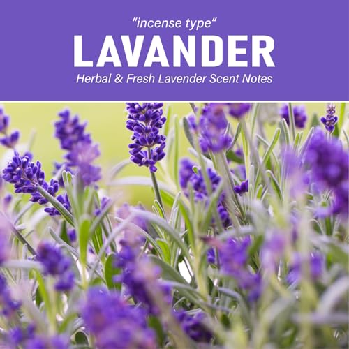 2 Pack Artificial Succulent Plants with Subtle Lavender, Faux Indoor Plants for Home Decor, Small Fake Plant for Bathroom, Bedroom, Office Decor, Aesthetic Room Accessories, Housewarming Gift - style: 2 Pack Lavender