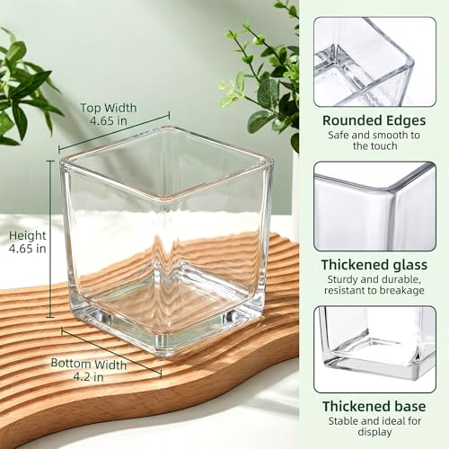 6 Pack Square Glass Vases 5"x 5" x 5", Plant Terrarium, Floating Candle Holder, Clear Bulk Flower Vases for Centerpieces,Wedding Party, Office Decorations, Home Décor, Events - size: 5"-6Pack