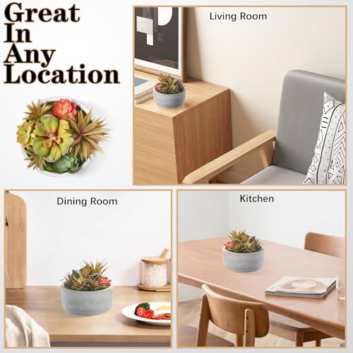 6 Inch Artificial Succulent Plants in Pots,Realistic Fake Succulents with Gray Ceramic Pot for Home Office Desk Bathroom Coffee Table Decor - color: Grey#1, size: 6inch