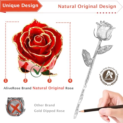 AliveRose Gold Dipped Rose, 24K Gold Rose Made from Real Rose - Unique Design Gold Plated Rose for Anniversary Valentines Mothers Day Birthday Gifts (Orange Original with Crystal Vase) - color: 7. Orange Original Rose With Crystal Vase