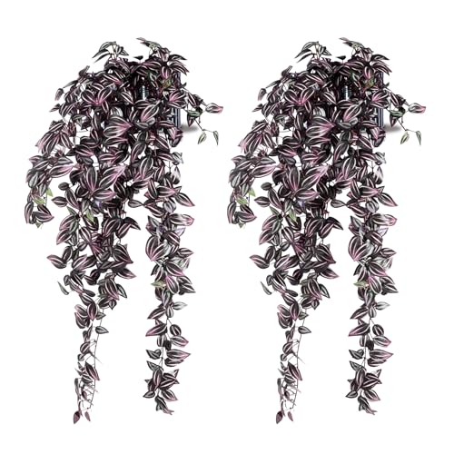 2 Pack Artificial Hanging Tradescantia Plants with Ceramic Pot Large Purple Cascading Faux Greenery Full Trailing Fake Vines Indoor Wall Shelf Decor for Bathroom Patio Outddor Decor (Purple-01) - color: Purple-01