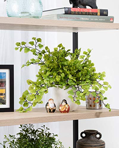 Petals - Maidenhair Fern Silk Foliage Plant