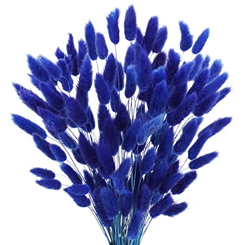 Uieke 17’’ Natural Bunny Tails Dried Flowers, 120 Pcs Dried Lagurus Ovatus, Dried Blue Pampas Grass Decor for Farmhouse Flower Arrangements Wedding Home Party Decorations - color: Blue-120pcs