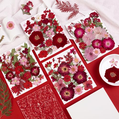 101 PCS Red Dried Pressed Flowers for Christmas Crafts Resin, Red Real Nature Flowers Bulk for DIY Holiday Cake Card Scrapbook Supplies, Large Dried Flowers for Soap Candle Making - size: Red