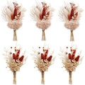 xin's convey Mini Dried Flower Bouquet Set of 6, Groom's and Best Man's Boutonnieres, Dried Flower Gift Box, Boho Wedding Plate Decoration, Birthday Cake Arrangement (Terracotta) - color: Terracotta