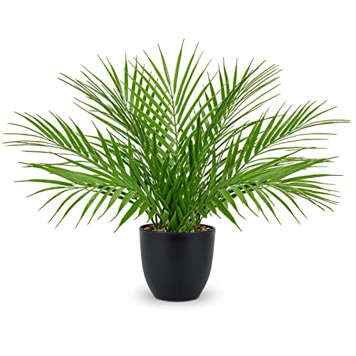 Briful Fake Plant 15’’ Artificial Palm Plant in Matte Black Pot Realistic Faux Tropical Palm Tree Houseplant for Home Indoor Living Room Tabletop Bedroom Decorations - color: 15'' Tall Black