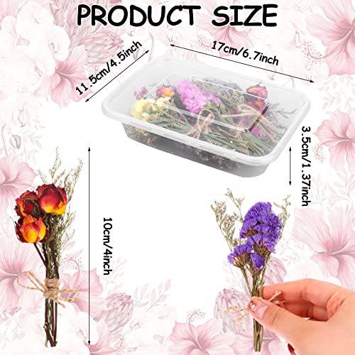20Pcs Don't Forget Me Flower Bouquets Natural Forget-me-nots Dried Flower Bouquet Myosotis Sylvatica Dry Flower Leaves Lagurus Dried Embossing Flower Bundle Plant Stem Bunch for DIY Craft,Photo Props - color: 20pack