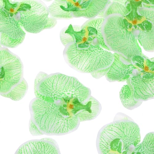 M METERXITY 20-Pack Artificial Orchid Flower Heads, Silk Faux Butterfly Flowers Head for Wedding/Bouquet/Bridal/Party Decor, Fake Phalaenopsis Petals Bulk [3.54 Inch, Green] - color: Green, size: 3.54 Inch