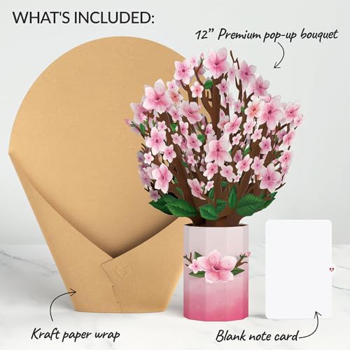 Lovepop Everyday Pop-Up Card for Her and Him - 3D Pop-Up Bouquet Greeting Cards for Men, Women - Cherry Blossom - 12" x 8.5" Floral Bouquet - Blank Note Card Included - color: Cherry Blossom Bouquet