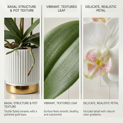 Artificial Orchid Plant with Pot, Realistic Faux Phalaenopsis Orchid with Moss, Lightweight Desktop Decor for Home and Office (White Two Branches) - color: White Two Branches