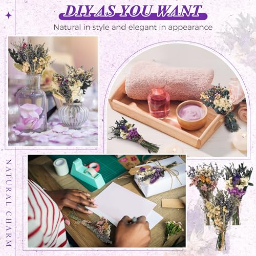 Layhit 12 Pcs Boho Dried Flower Bouquet Mini Wedding Handmade Dry Flowers Decor for Vase Crafts DIY Photo Boutonniere for Men Floral Plant for Bridesmaid Gift Birthday Decor(Romantic) - style: Lavender
