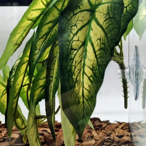 Reptile Plants for Terrarium, Amphibian Habitat Decor Artificial Hanging Plants with Suction Cup, Artificial Plants for Gecko Chameleon Snake Tortoise Tank Accessories. 2-Pack (Alocasia odora-B) - color: Alocasia Odora-b