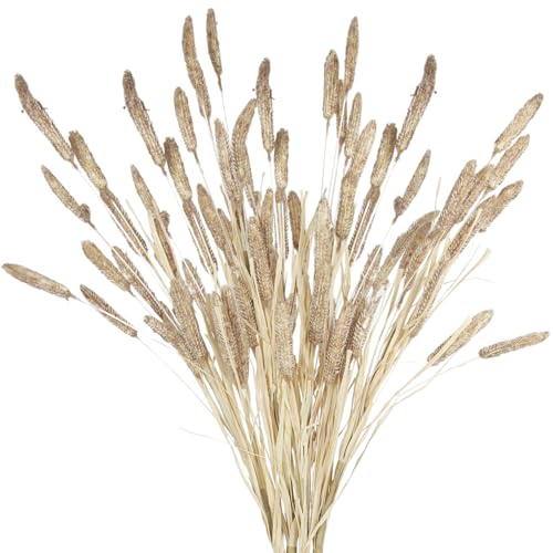 4 Pcs Bunny Tails Artificial Flowers Spring Summer Plants Boho Pampas Grass 32" Floral Stems with Artificial Wheatgrass Brown Dried Flowers Arrangements for Fall Vase Home Decor Wedding - color: Brown