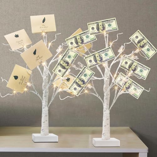 PEIDUO Set of 2 Money Trees, Lighted 22Inch 24LT White Birth Tree with Clips and Greeting Cards, Gift Card Holder for Birthday,Christmas, Wedding, Father's Day Graduation Gifts, Money Tree Gift Holder - style: 2PK Money Tree