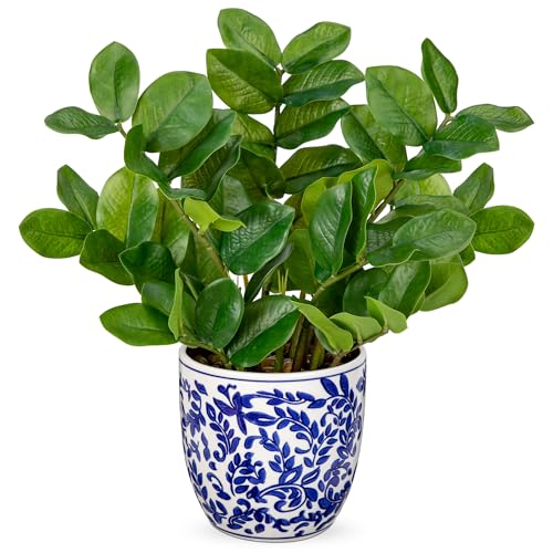 Briful Faux Plants Indoor 15.7in Fake ZZ Silk Plant in Blue and White Ceramic Pot Realistic Artificial Tropical Plant for Home Office Room Kitchen Shelf Decor - color: Medium Size-blue and White Pot