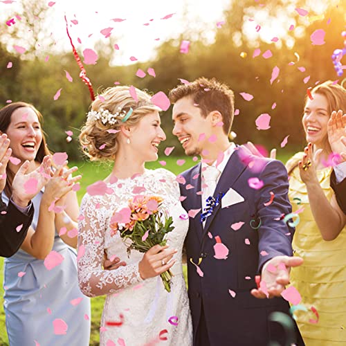 Ouddy Decor 5000 Pcs Rose Petals Artificial Flower for Valentine's Wedding Decor Romantic Night Event Anniversary Shower Engagement Party Home Decorations, Pink - color: Pink