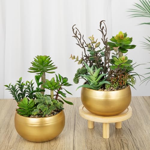 DILATATA Artificial Succulent Plants in Gold Pot Faux Succulent Arrangement Fake Potted Plants with Pebbles for Home Office Desk Shelf Table Decor - color: Gold