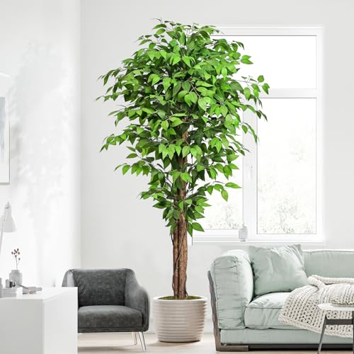 6.2ft Ficus Artificial Trees with 3 Natural Curved Trunks, 74" Tall Lush Faux Tree for Home Decor Indoor, Green Lifelike Fake Ficus Tree Artificial Plants - size: 6ft 2in