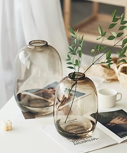 GeLive Brown Glass Vase Round Clear Colored Flower Vase for Centerpiece Long Stem Branch Fresh Artificial Plant Bottle Modern Home Indoor Decoration (Brown) - color: Brown