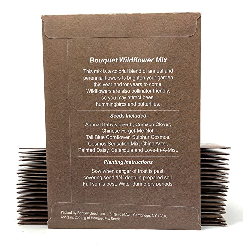 Baby in Bloom Seed Packet Favors Pre Filled with Wildflower Seeds - Baby Shower Party Favors for Guests, Thank You Gift or Present for Girl or Boy- Pink Floral, Brown Decorations - Bulk Pack of 20 - color: Pink