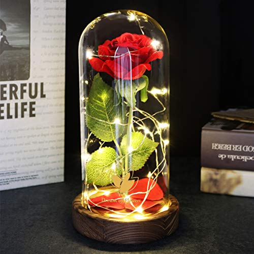 Beauty and the Beast Rose, Mothers Day Forever Preserved Flower Rose Gifts for Mom, Birthday Gift for Women, Light Up Rose in Glass Dome, Eternal Rose Flower Gifts Girlfriends for Wife - color: Brown Base