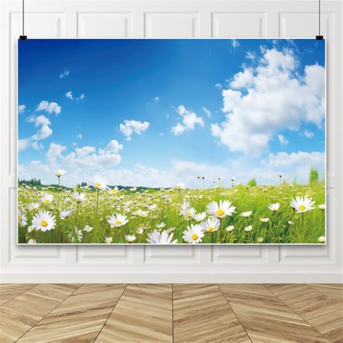 20x10ft Spring Backdrop for Photography Blue Sky White Clouds Daisy Flowers Wedding Themed Party Backdrop Flowers Field Natural Scenery Background Outdoor Garden Floral Blossom Video Props - size: 20x10ft