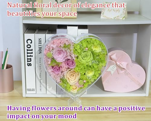Valley of Rain & Forest Long-Lasting Real Flowers With Delivery | "Sweet" Preserved Floral Gift With Lights For You to Send Love, Romantic Home Decor (Forever Pink & Green Roses Arrangement) - color: Pink & Green Roses Arrangement