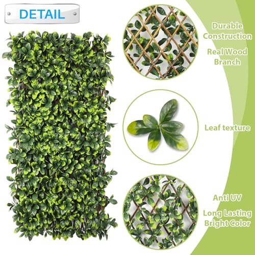 Patio Paradise 1PC Artificial Ivy Expandable Privacy Fence Screen Faux Greenery Wall Green Vines Leaf Hedge Outdoor Lattice Panels Covering for Apartment Balcony Deck Porch Backyard, Single-Side - color: Ficus Leaves