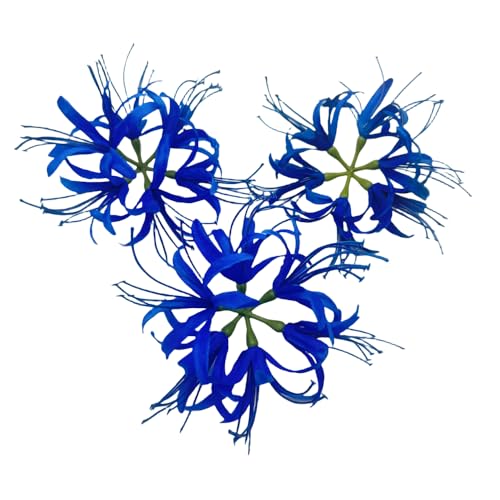 3Pieces Silk Spider Plant Fake Flowers Heads,Blue Artificial Flowers Spider Silk Flowers for Crafts,Fake Flowers Bulk,Artificial Flowers for Cake Decoration Wedding Party Birthday Home Décor (Blue) - color: Blue