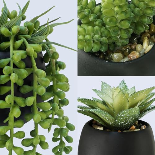 Winlyn Set of 3 Artificial Succulents Plants in Black Cement Planters Faux Potted Plants Aloe String of Pearls Donkey Tail Small House Plants 5" Tall for Table Shelf Home Office Bathroom Living Room - color: Black Cement Pots