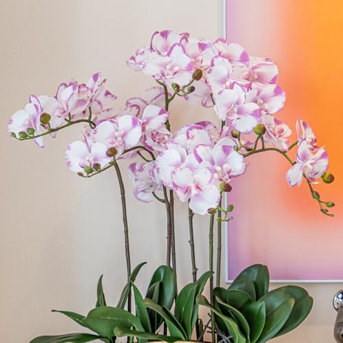 DUYONE 35 Inch Artificial Butterfly Orchid Flowers 4 Pcs with 4 Bundles Leaves Artificial Orchid Flowers Stem Plants for Home Décor (Light Purple 4pcs) - color: Light Purple 4pcs Flowers With 4 Leaves