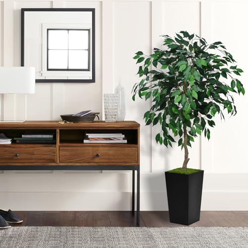 ASTIDY Artificial Ficus Tree 5FT - Faux Indoor Tree with Black Tall Planter - Fake Ficus Floor Plant in Pot - Artificial Silk Tree for Home Office Living Room Decor Indoor - color: Black
