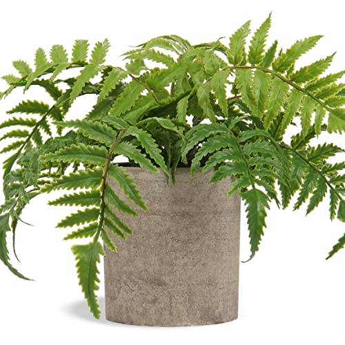 Hollyone Small Fake Plant Potted Plants Artificial Decor Silk Boston Ferns Plant Faux Plants in Pots for Home Living Room Bedroom Desk Bathroom Window Shelf Farmhouse Decoration - color: 1 Pack - Style 2