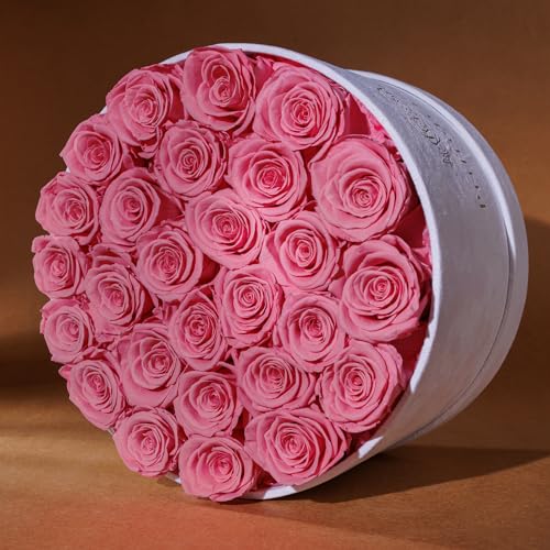 Prifroti 27 Flowers in a Luxury Suede Box, Birthday Gifts for Women, Preserved Flowers, Mothers Day Roses Gift for Mom, Light Pink - color: Light Pink, size: 27 Roses