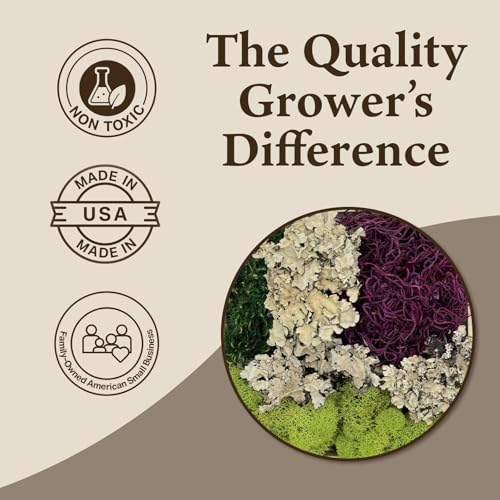 Quality Growers - The Moss Collection Variety Pack - Natural Decorative Moss - Crafts, Home Decor, Art, Design & DIY Projects - Non-Toxic - Made in USA - Red Mix, Medium, 2-Pack - color: Red Mix, size: Medium (2-Pack)