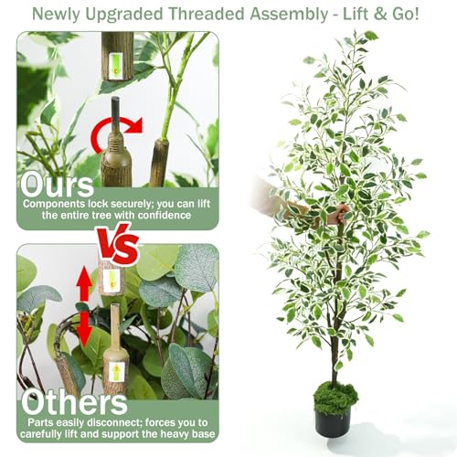 Caxchiling Fake Ficus Tree 6FT,Artificial Floor Plants for Indoor Outdoor, Lifelike Potted Tree with Moss Topper and Cotton Basket, Home Office Living Room Bedroom Doorway Decor (White-Edged Leaves) - color: White Ficus