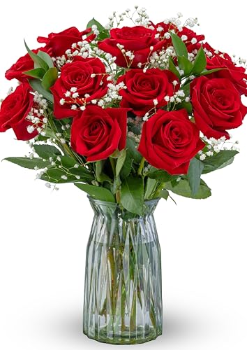 Benchmark Bouquets - Red Roses Bouquet - Fresh Flowers for Delivery - Mothers Day Flowers - One Dozen Long Stem Roses - Real Roses - Mothers Day Gifts for Mom (Glass Vase Included) - style: Original